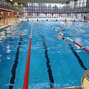 Schwimmen in der Trainingsgruppe